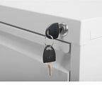 4 Drawer Metal Vertical Filing Cabinet with Lock,A4 Legal/Letter Size