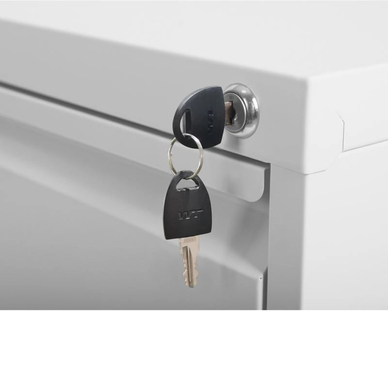 4 Drawer Metal Vertical Filing Cabinet with Lock,A4 Legal/Letter Size